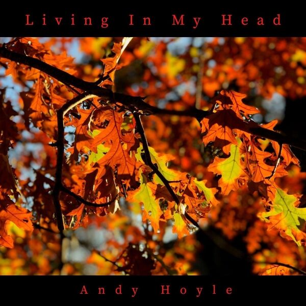 Cover art for Living in My Head